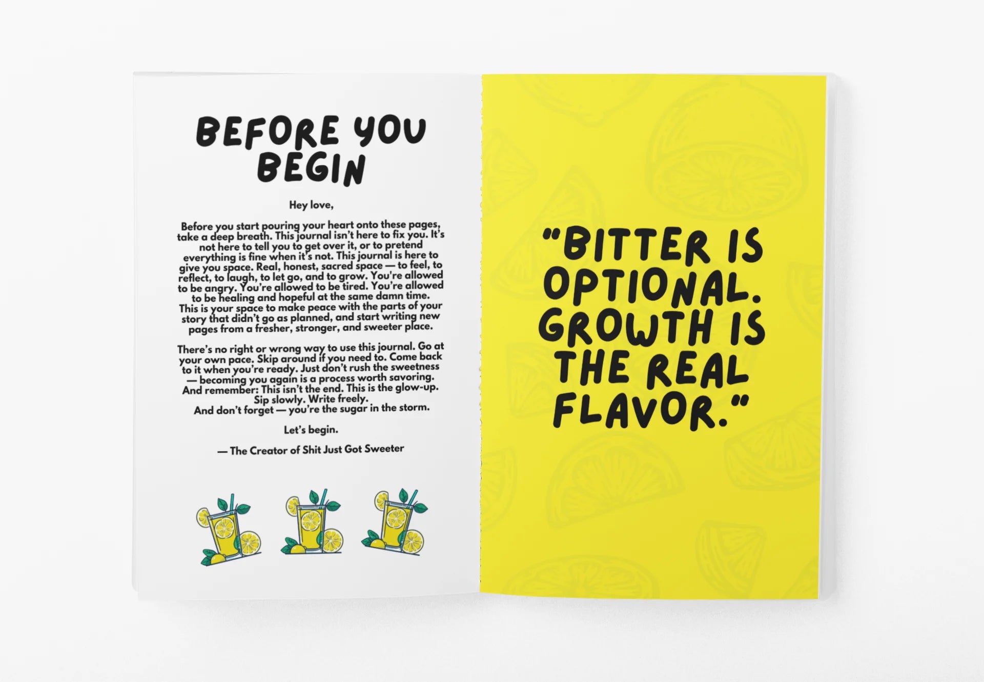 🍋 The Lemonade Journal — PLR Edition